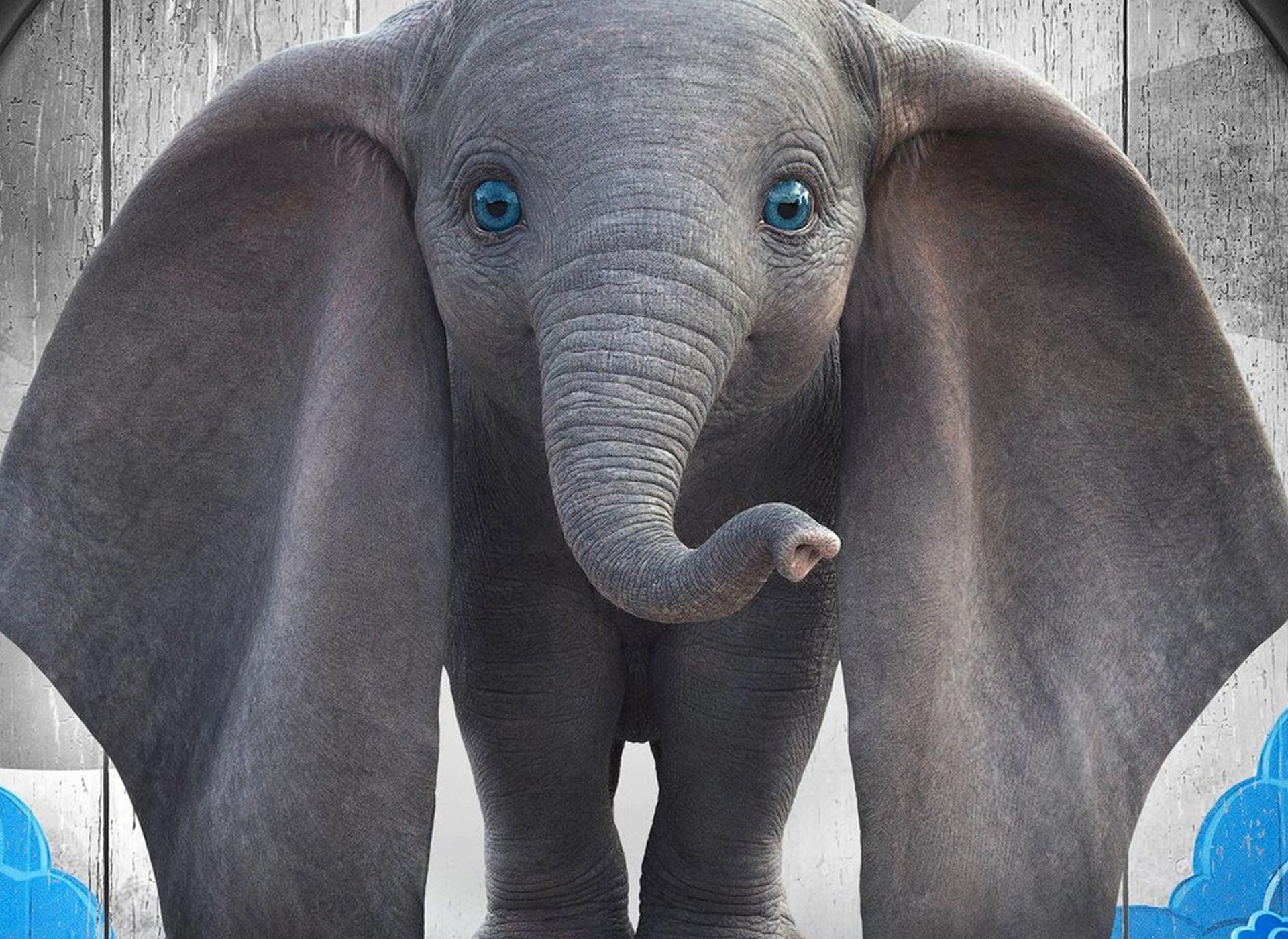 Dumbo