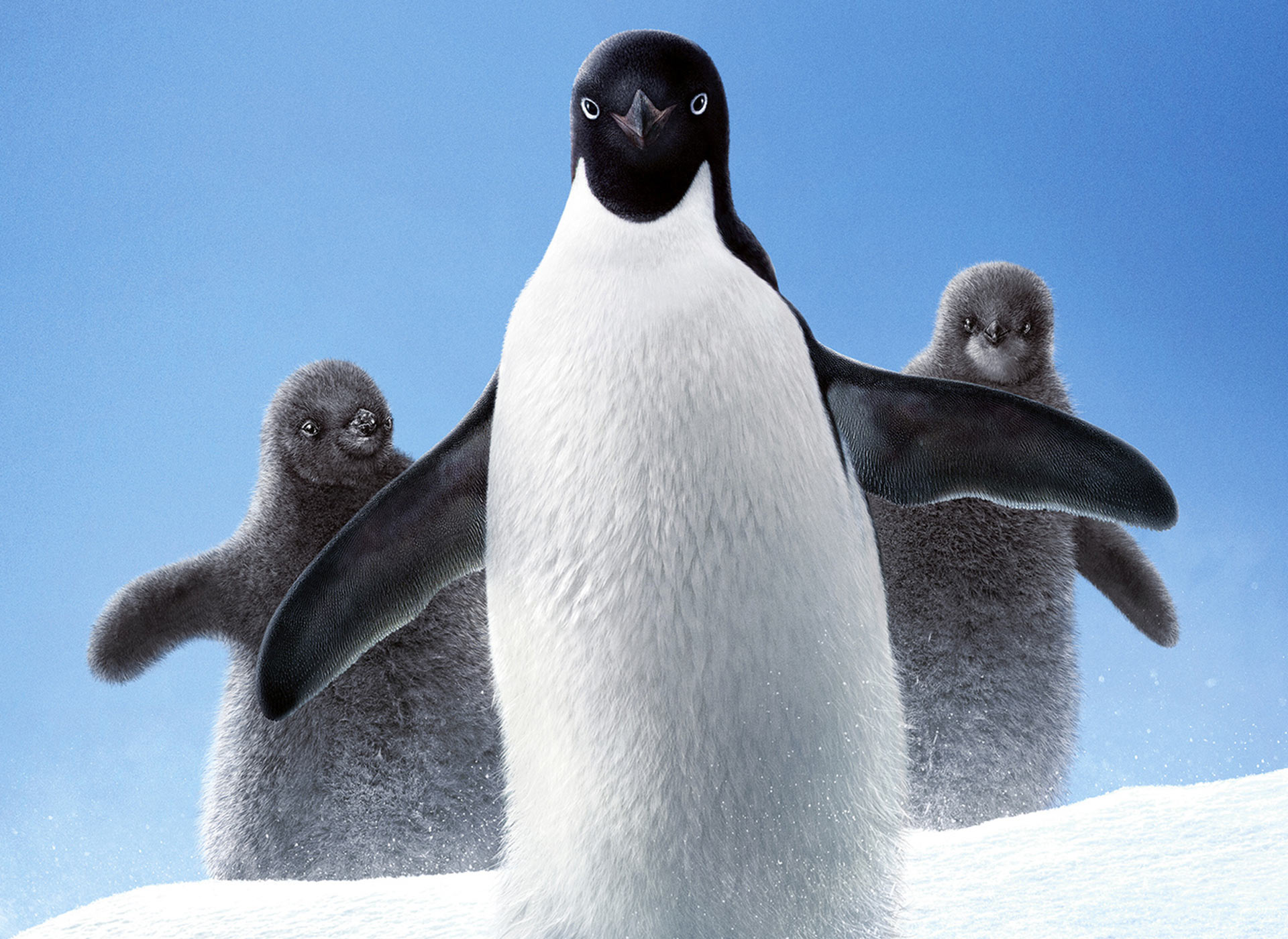 Penguins